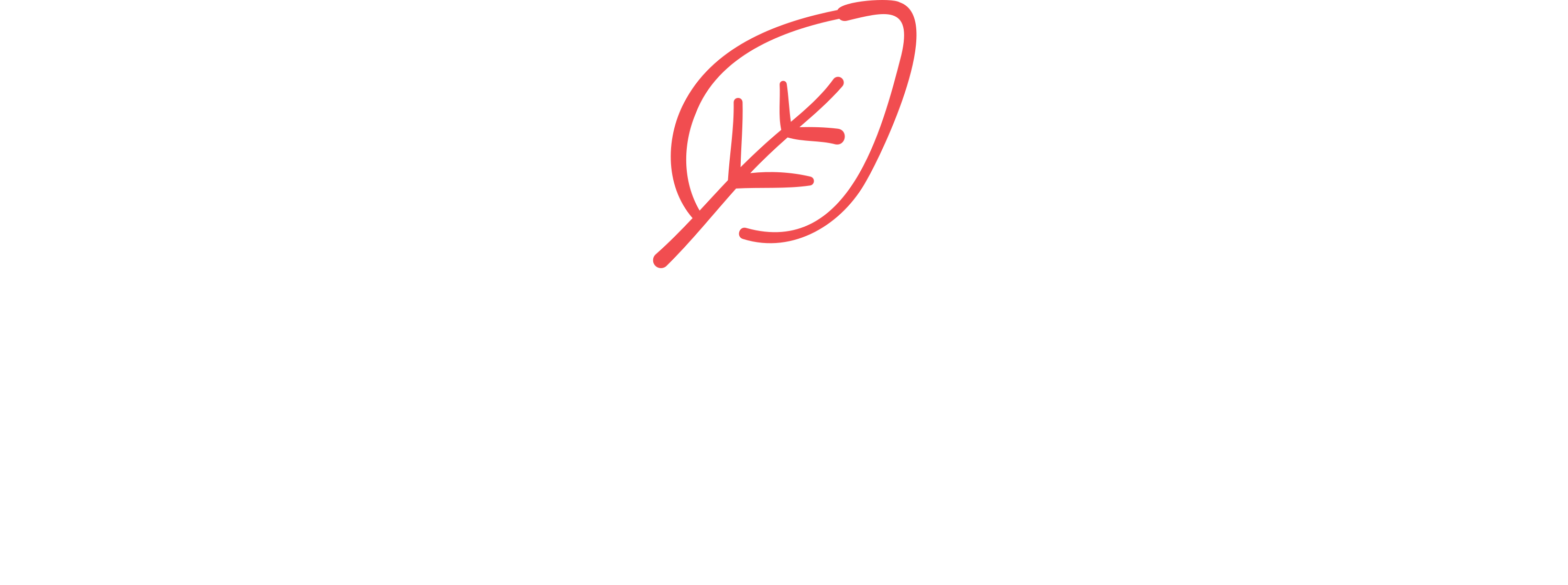 NexenKern Logo